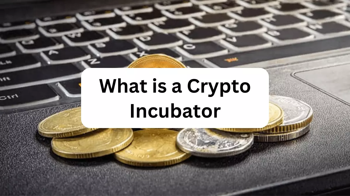 Crypto Incubator
